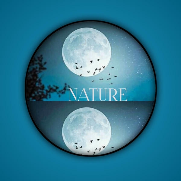 Whatsapp dp pic HD