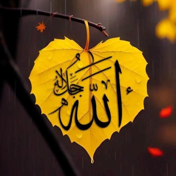 dp Islamic