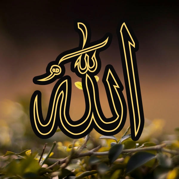 Whatsapp Profile Pictures Stylish