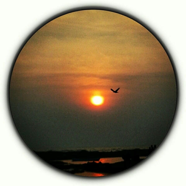 Whatsapp Profile Pictures DP