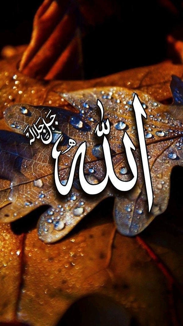Allah dp for whatsapp