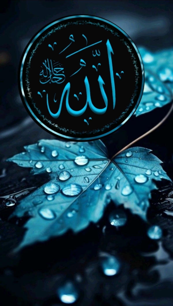 Allah dp quotes