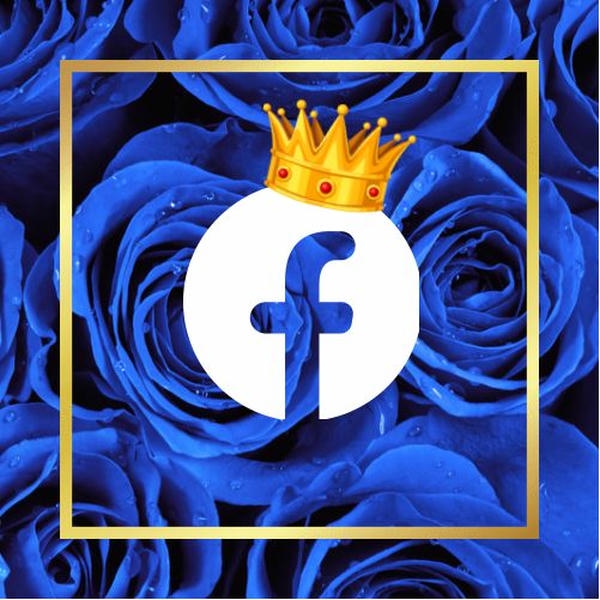 Cute Facebook dp
