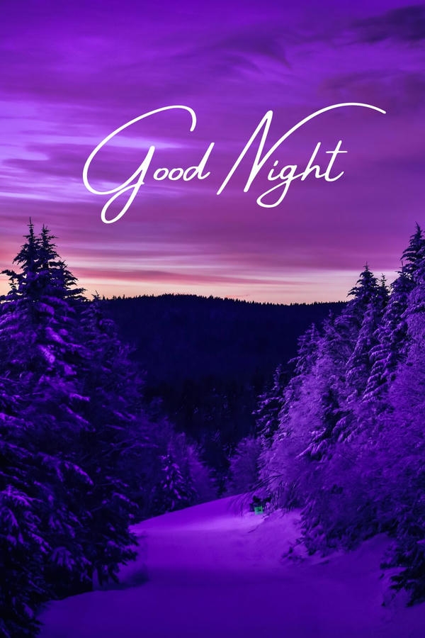 Cute Good Night Images