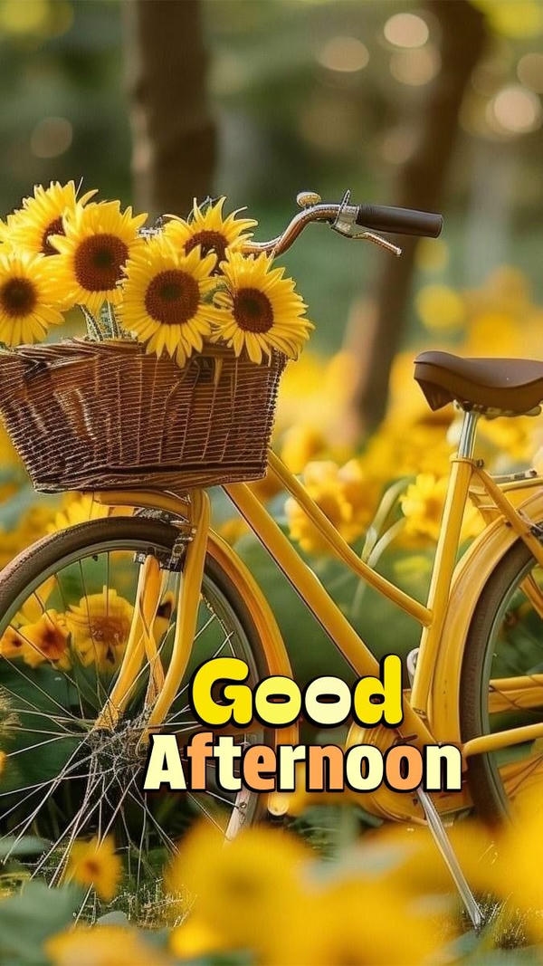 Good Afternoon Images 4K