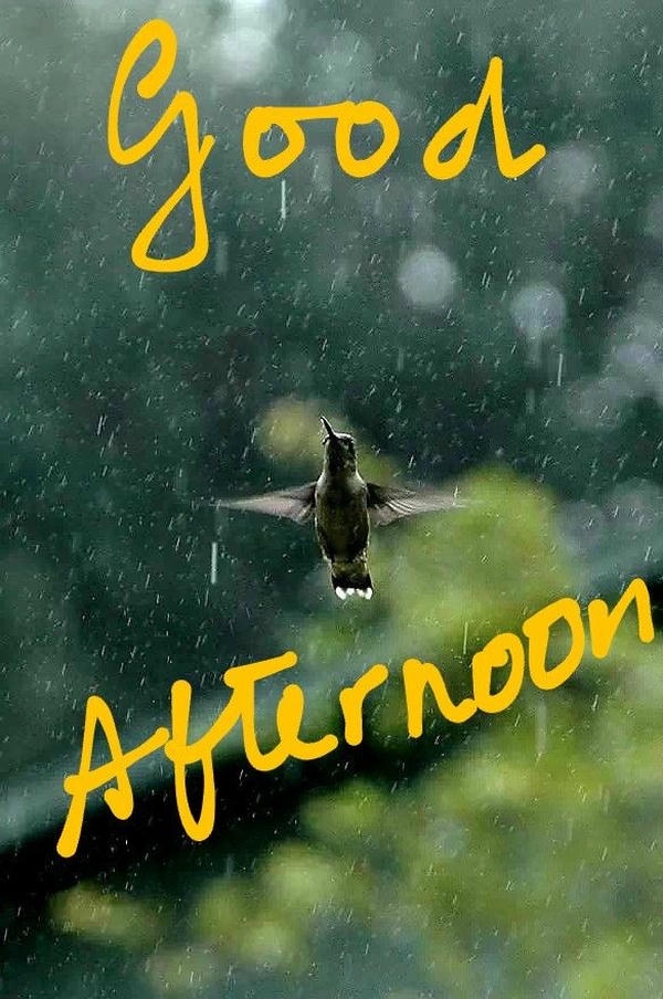 Good Afternoon Images HD