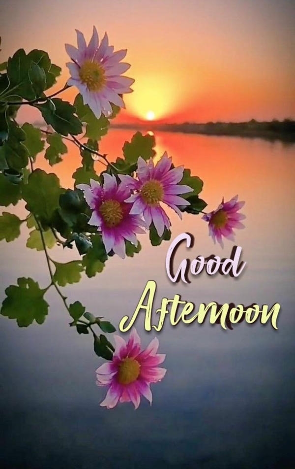Good Afternoon Images in Hindi