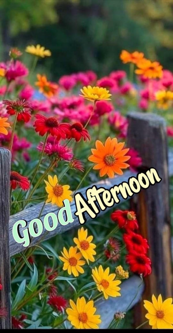 Good Afternoon Images with Flowers