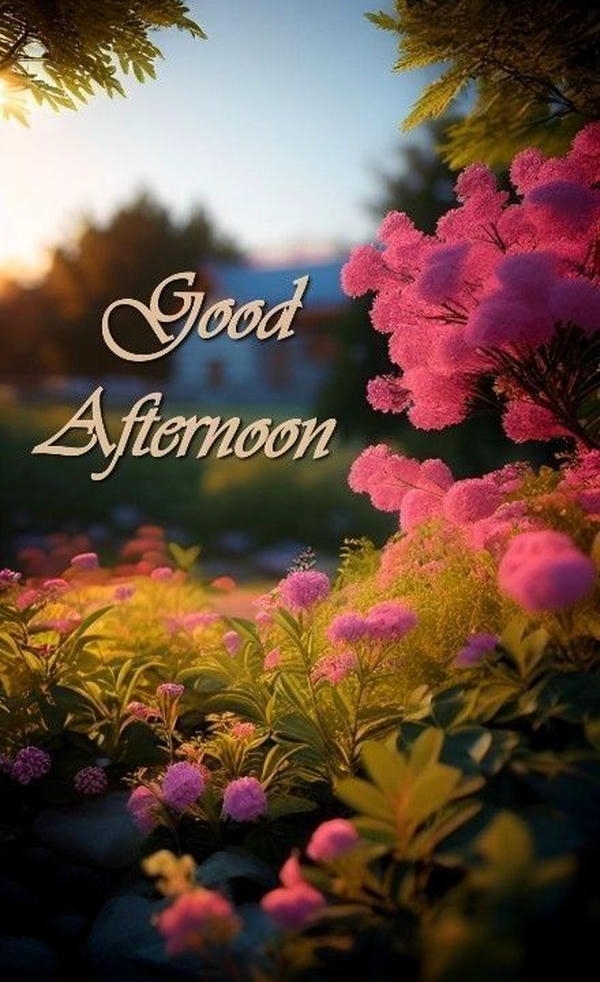 Good Afternoon Images with Inspirational Quotes
