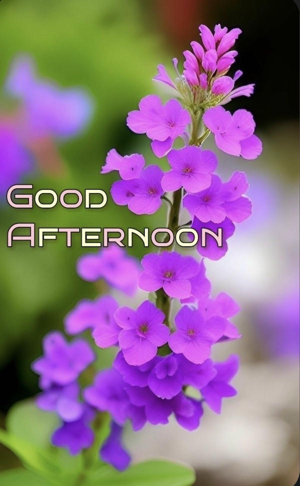 Good Afternoon Images with Love