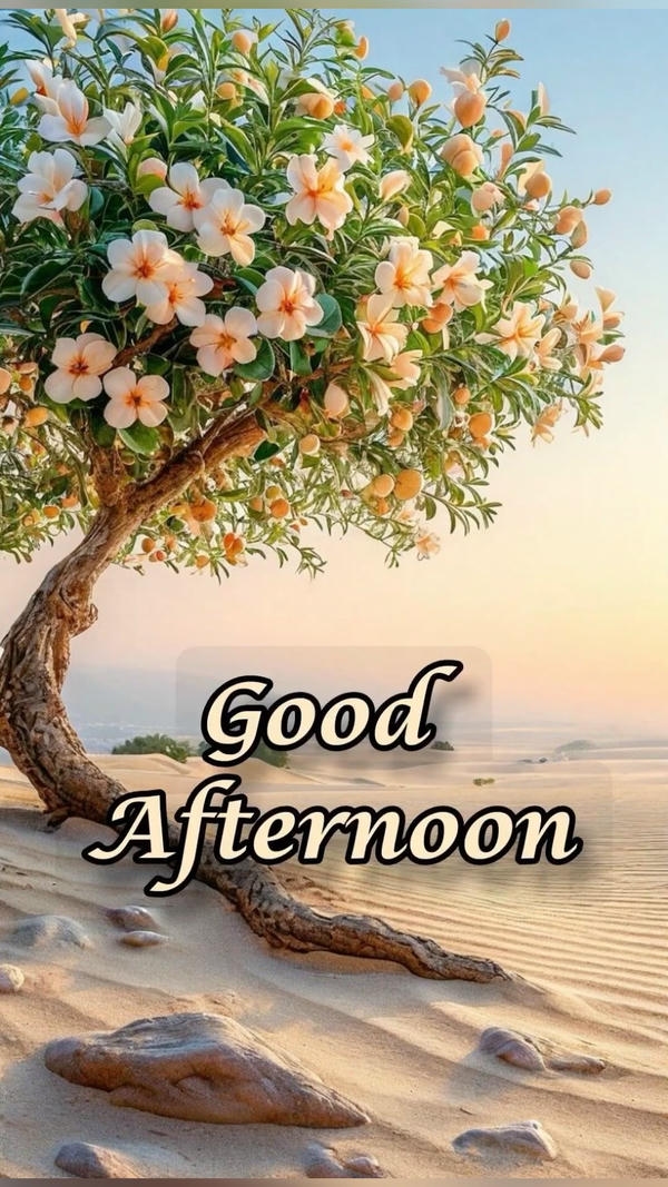Good Afternoon Images