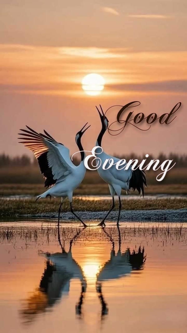 Good Evening Images Download