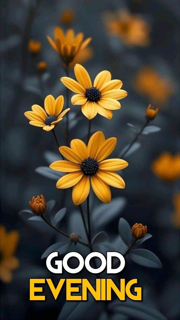 Good Evening Images for Friends