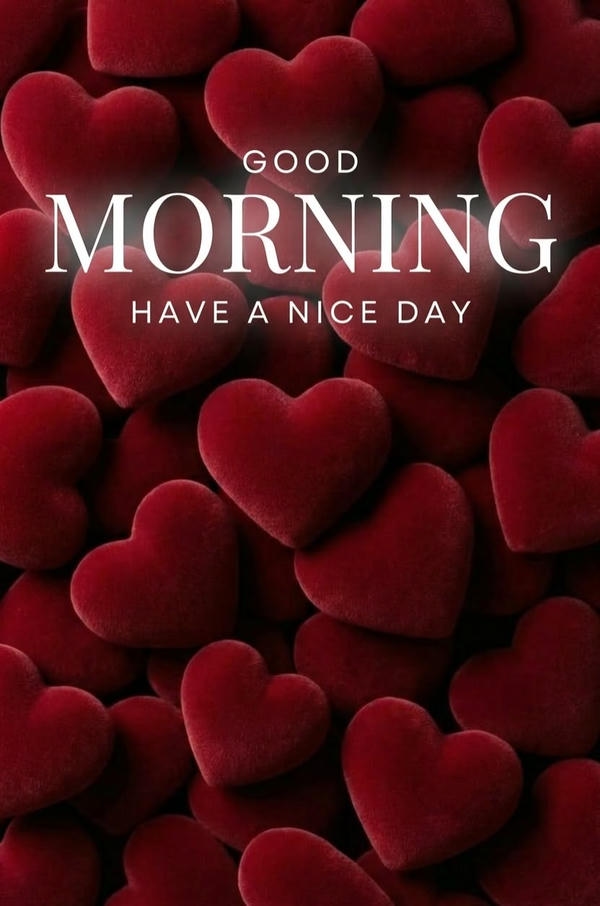 Good Morning Images Nature