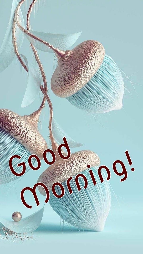 Good Morning Images for WhatsApp