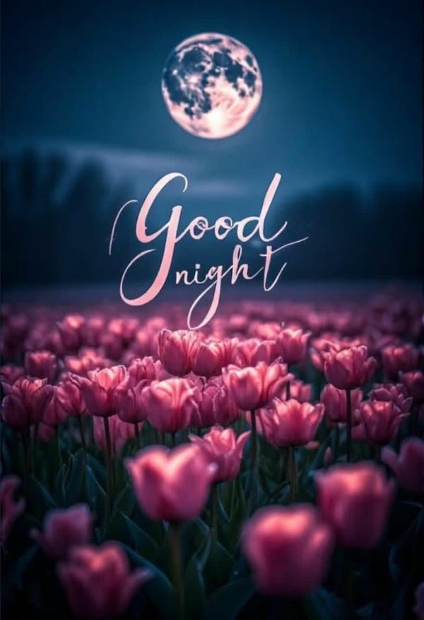Good Night Images 2026