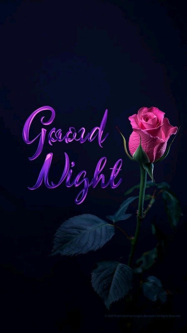 Good Night Images New
