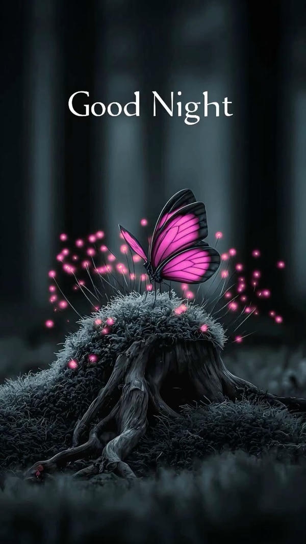 Good Night Images for Family