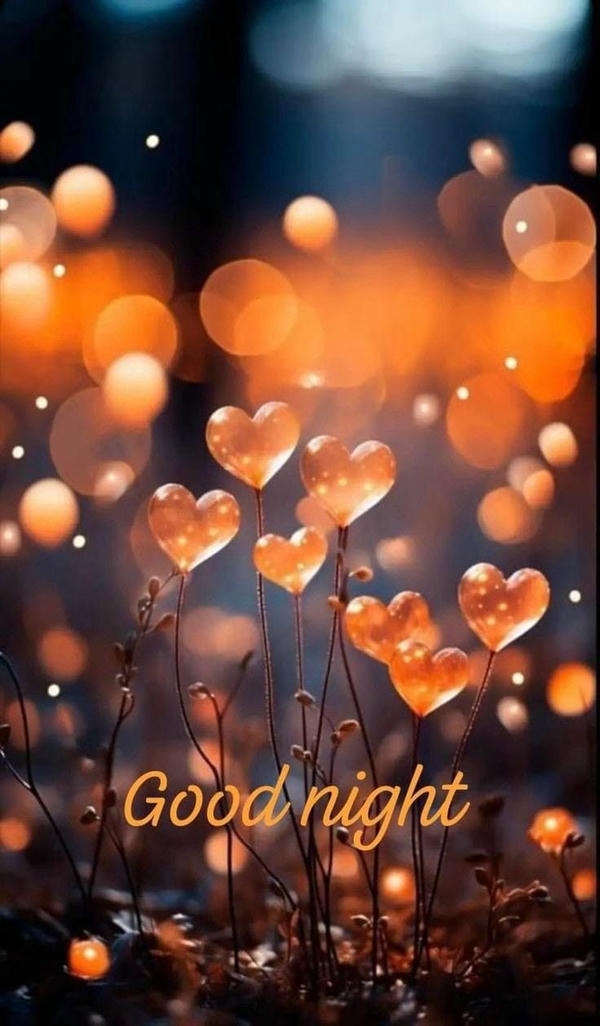 Good Night Images in Hindi
