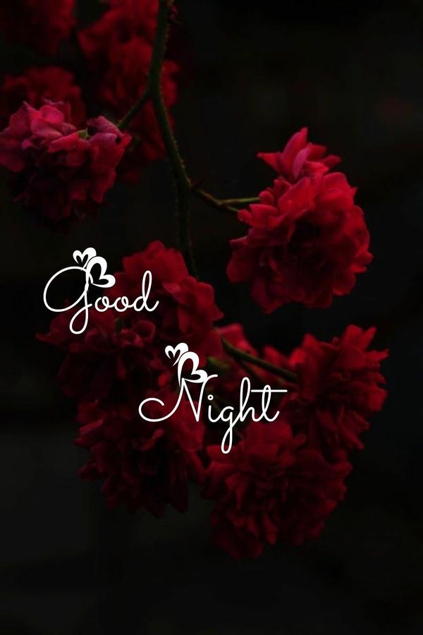 Good Night Images with Wishes