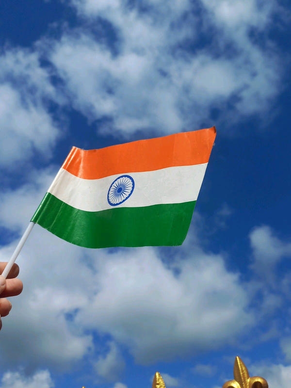 India Flag DP
