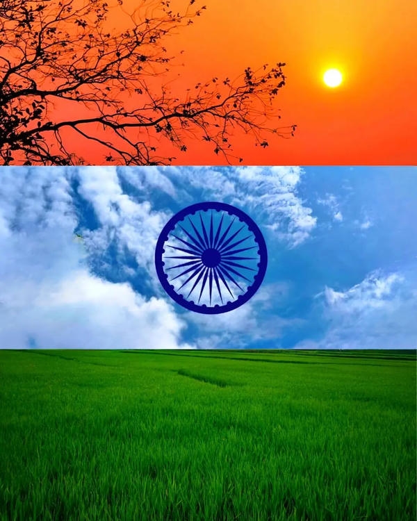 Indian Flag DP 15 August