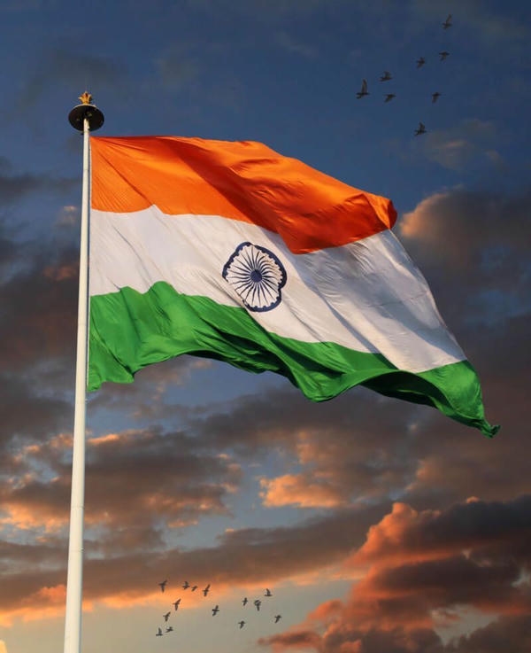 Indian Flag DP Image