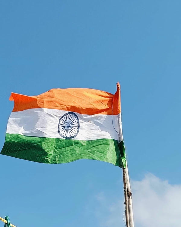 Indian Flag DP Stylish