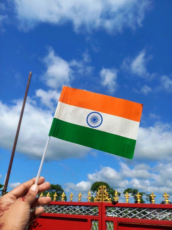 Indian Flag DP for WhatsApp