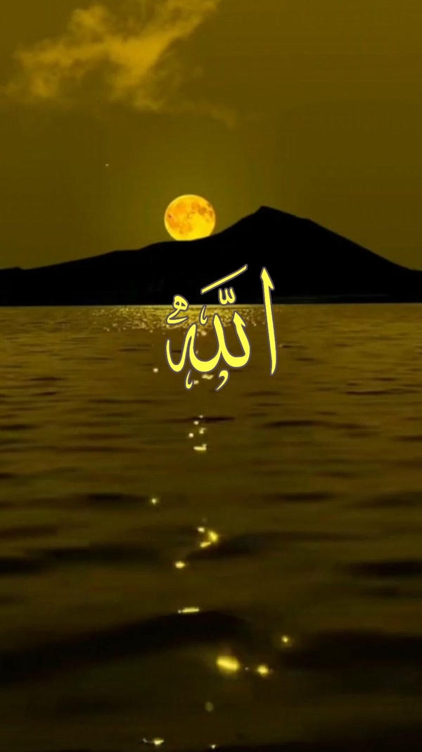 Islamic Allah dp