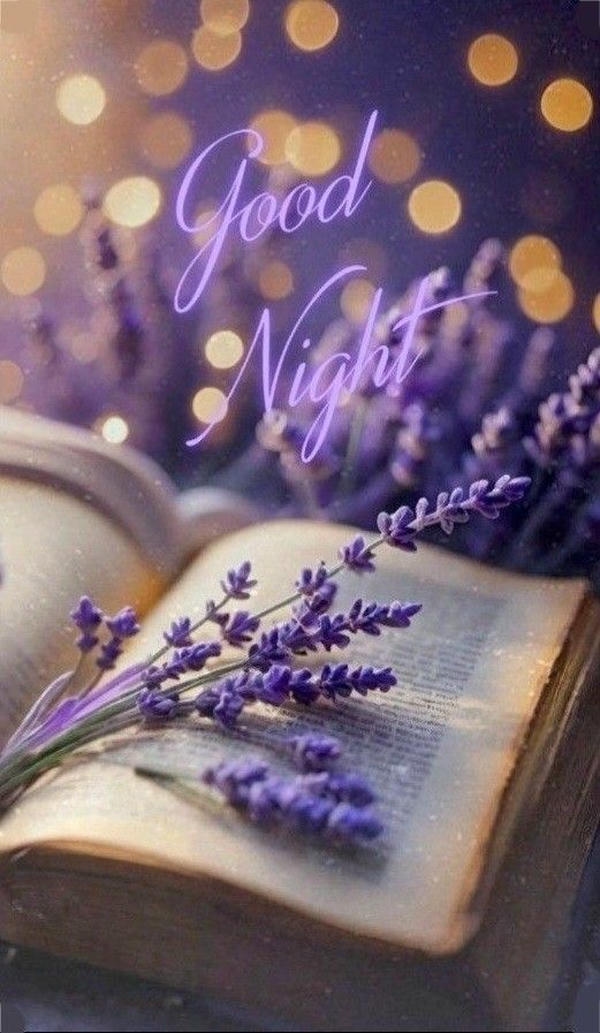 Sweet Good Night Images