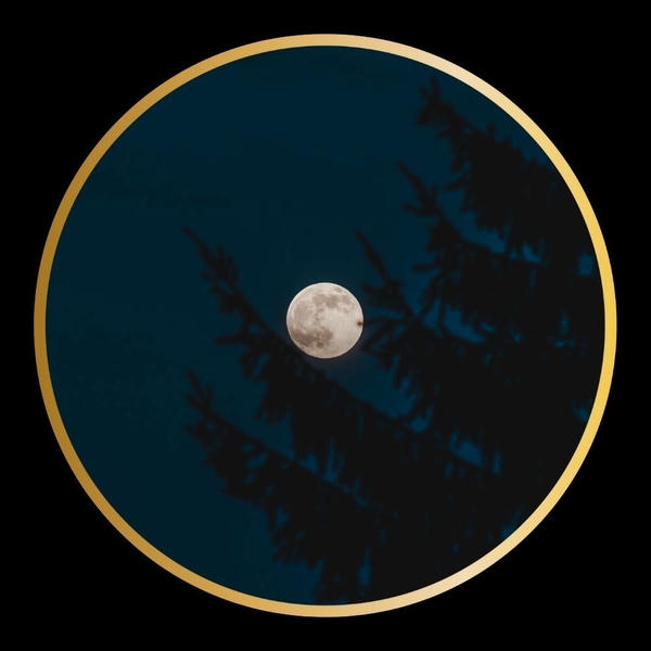 Best Instagram dp